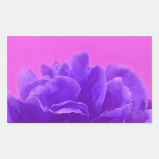 Sticker Rectangulaire Elegant Purple Raspberry Floral (Devant)