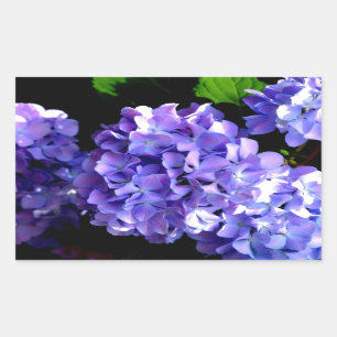 Sticker Rectangulaire Elégante florales violettes profondes perwinkle hy