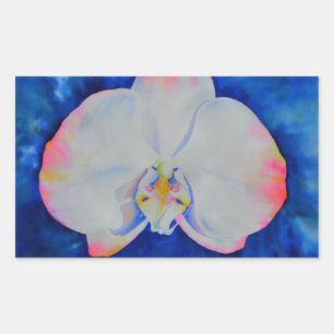 Sticker Rectangulaire Elégante orchidée d'aquarelle blanche rose
