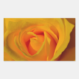 Sticker Rectangulaire Elégante photo de Rose Jaune