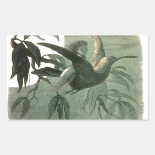 Sticker Rectangulaire Elf Fairies Elves Lune Scène nocturne Oiseau Volan