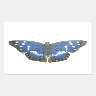 Sticker Rectangulaire Empereur pourpre 2012