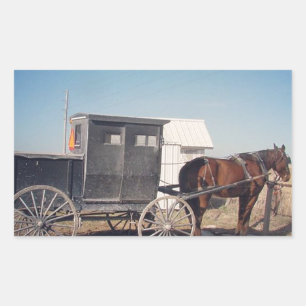 Sticker Rectangulaire En attente Cheval Amish et Buggy