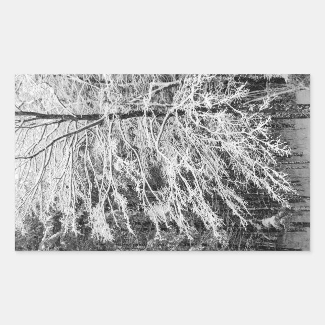 Sticker Rectangulaire Érable En Neige (Devant)