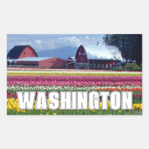 Sticker Rectangulaire État de Washington   Champ de tulipes