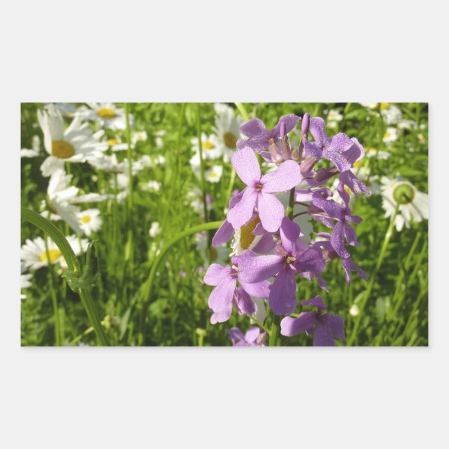 Sticker Rectangulaire Été Lilac et marguerites (Devant)