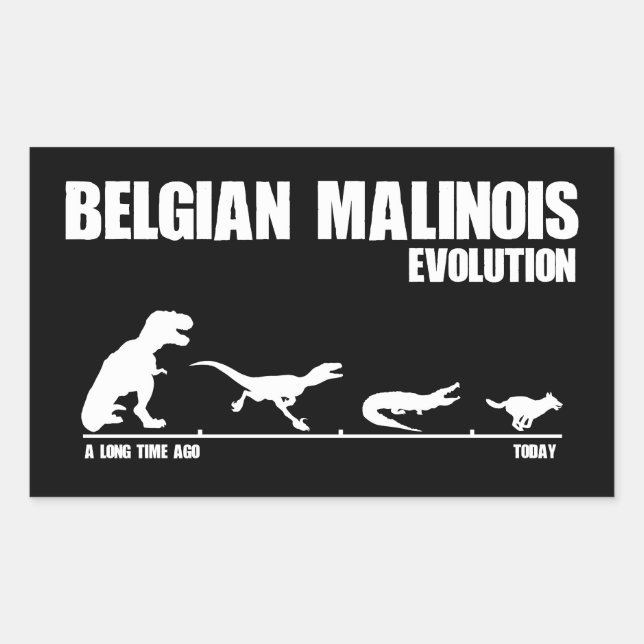 Sticker Rectangulaire Évolution du Malinois belge (Devant)