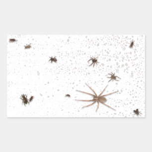 Sticker Rectangulaire Faux Bugs Sur L'Écran Ou La Porte De La Fenêtre