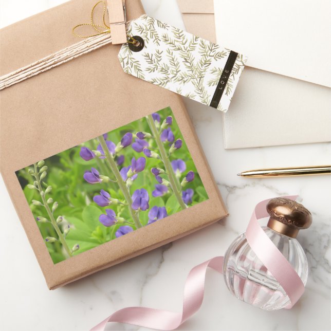 Sticker Rectangulaire Faux Indigo (Baptisia australis) (Cadeaux)