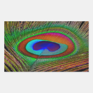 Sticker Rectangulaire Feather Vibrant Copper