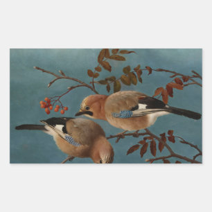 Sticker Rectangulaire Ferdinand von Wright - Jays