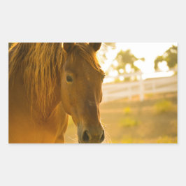 Sticker Rectangulaire Fermeture Brown du cheval
