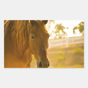 Sticker Rectangulaire Fermeture Brown du cheval