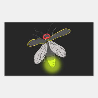 Sticker Rectangulaire feu de vol de bogue