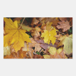 Sticker Rectangulaire Feuilles de Érable Tombées Jaune Automne Nature
