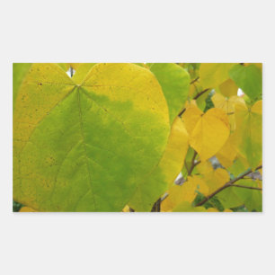 Sticker Rectangulaire Feuilles jaunes et vertes de Cercis