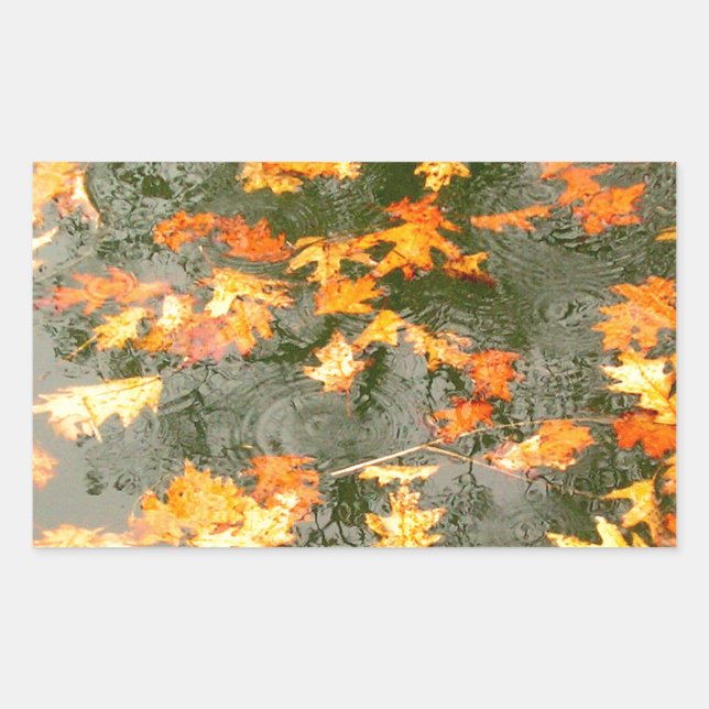 Sticker Rectangulaire feuilles tombés sous la pluie (Devant)