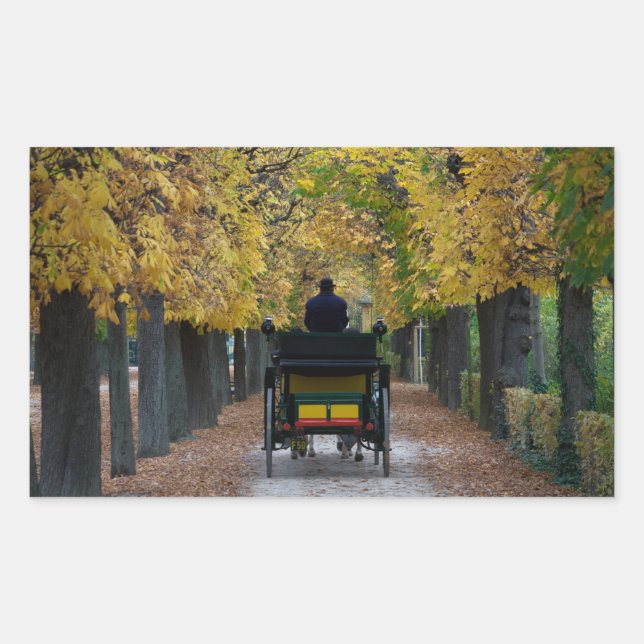 Sticker Rectangulaire Fiaker À Schönbrunn, Wien Österreich (Devant)