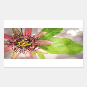 Sticker Rectangulaire Fleur de pâte