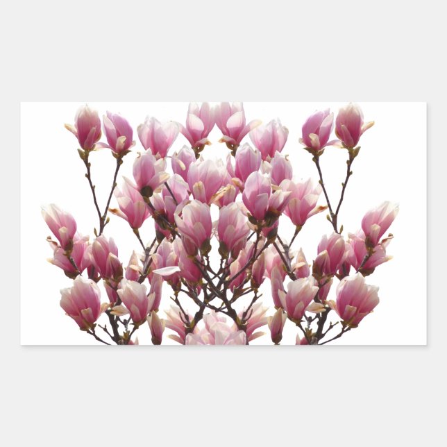 Sticker Rectangulaire Fleur de printemps rose florissante Magnolias (Devant)