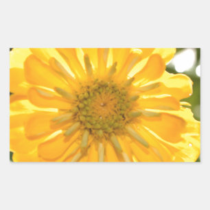 Sticker Rectangulaire Fleur jaune fleurie jaune marguerite jaune