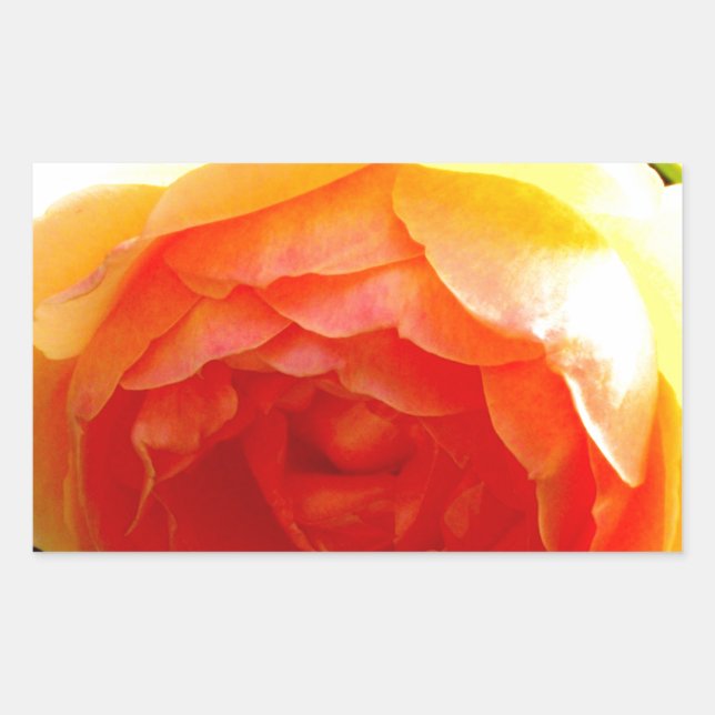 Sticker Rectangulaire Fleur jaune jaune rose jaune (Devant)