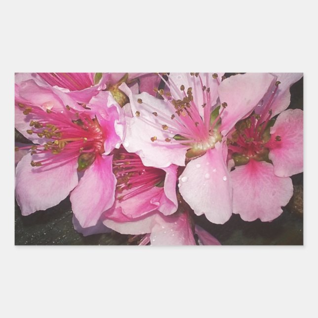 Sticker Rectangulaire Fleurs de pêche (Devant)