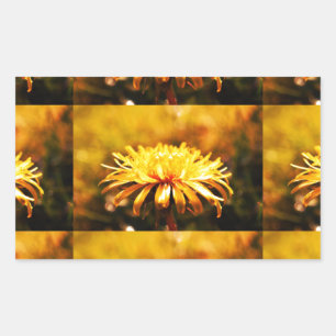Sticker Rectangulaire Fleurs de pissenlit jaunes vignes printemps