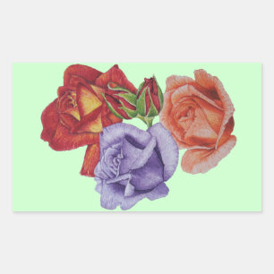 Sticker Rectangulaire fleurs roses rouges et bourgeons roses fleurs flor