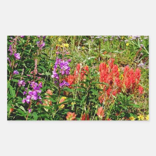 Sticker Rectangulaire Fleurs sauvages des Rocheuses (Devant)