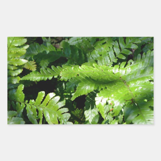 Sticker Rectangulaire Fleurs vertes du printemps des bois (Devant)