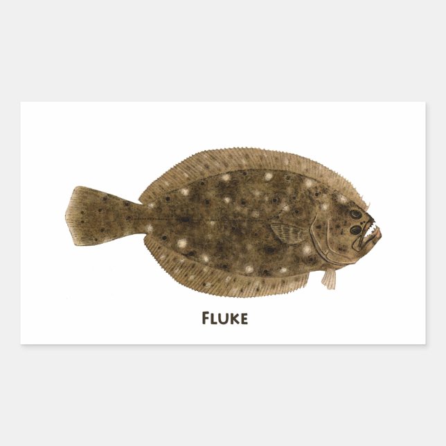 Sticker Rectangulaire Fluke (Devant)