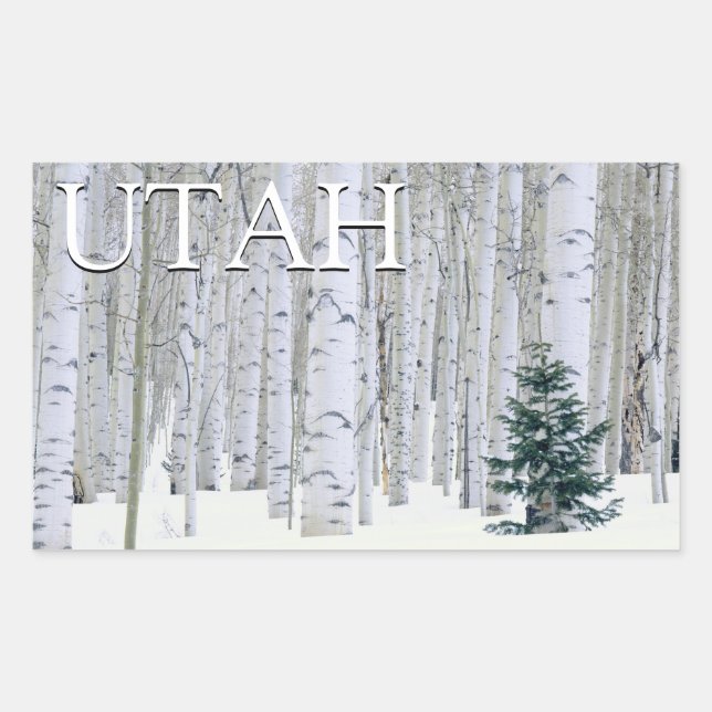 Sticker Rectangulaire Forêt nationale de Manti-LaSal, Utah (Devant)