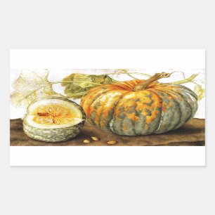 STICKER RECTANGULAIRE FRUITS DE SAISON / CITROUILLE