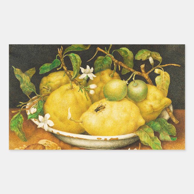 STICKER RECTANGULAIRE FRUITS DE SAISON LÉMONS ET FLEURS BLANCHES (Devant)