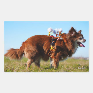 Sticker Rectangulaire Fubby's die paardrijden op hun honden vriendje.