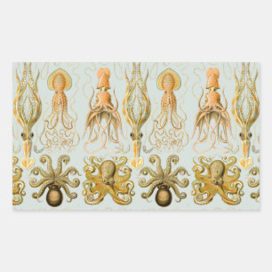 Sticker Rectangulaire Gamochonia d'Ernst Haeckel