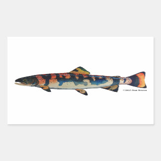 Sticker Rectangulaire Gila Truite ;