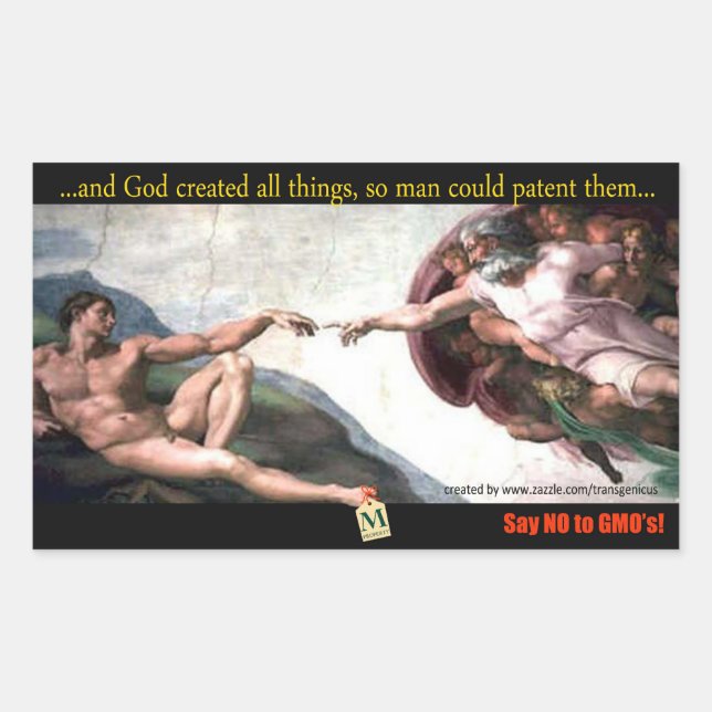 Sticker Rectangulaire God's Creation Bump Stiker (Devant)