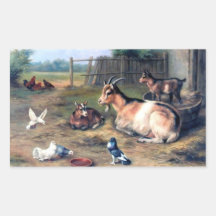 Goût de ferme enfants pigeons