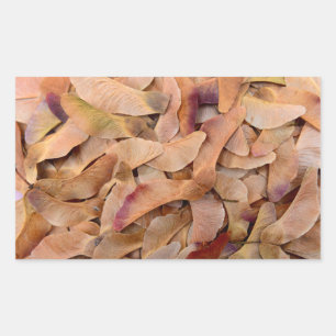 Sticker Rectangulaire graines d'érable texture motif nature arrière - pl