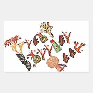 Sticker Rectangulaire Grande Barrière De Corail,