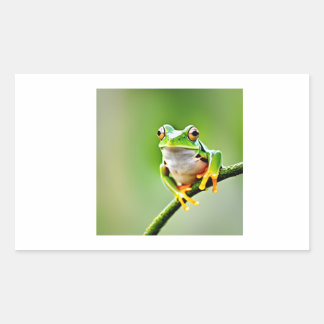 Sticker Rectangulaire grenouille verte