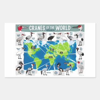 Sticker Rectangulaire Grues du monde