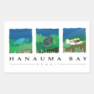 Sticker Rectangulaire Hanauma Bay Hawaii
