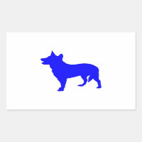 Heeler bleu australien