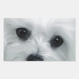 Sticker Rectangulaire Hermes le Maltais