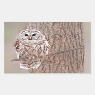 Sticker Rectangulaire Hibou dans l'arbre Nature Bird Ajouter un texte