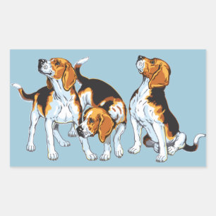 Sticker Rectangulaire Hound beagle