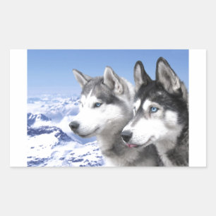 Sticker Rectangulaire Huskies de Sibérie